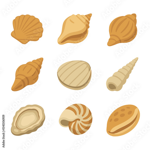 Seashell Icon Collection. Isometric Flat icon set of common seashell varieties: scallop, conch, cockle, whelk, clam, auger, oyster