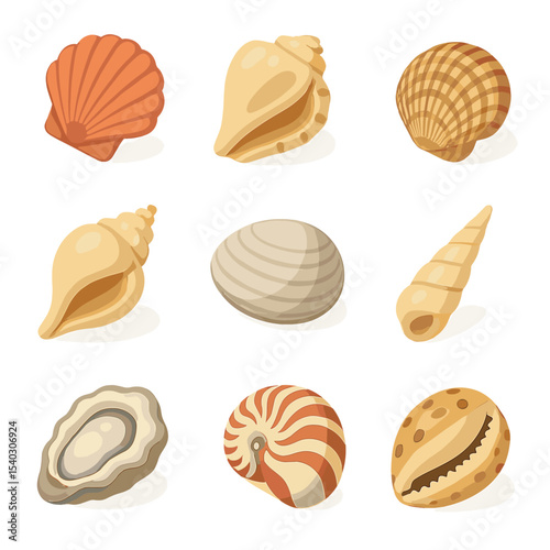 Seashell Icon Collection. Isometric Flat icon set of common seashell varieties: scallop, conch, cockle, whelk, clam, auger, oyster