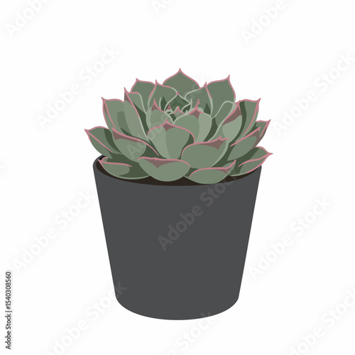 Vibrant Succulent in Pot, Detailed Illustration