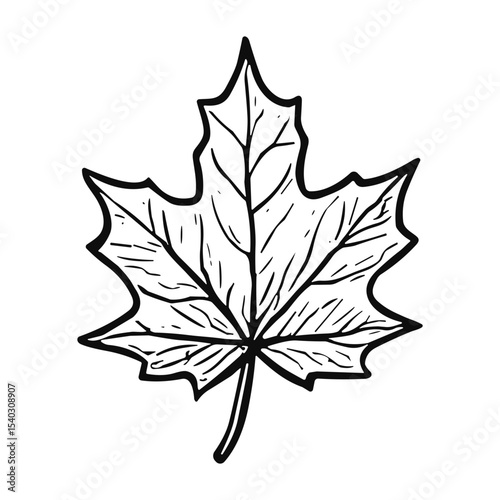 Maple Leaf