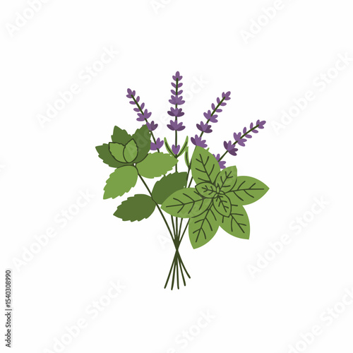 Aromatic Herb Bouquet: Lavender, Mint, and Basil Sprigs