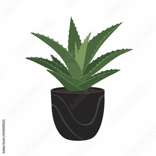 Detailed Aloe Vera Plant in a Decorative Black Ceramic Pot