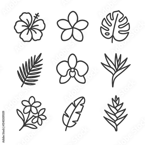 Tropical Floral Icons. Outline icon set of tropical floral patterns: hibiscus bloom, plumeria flower, monstera leaf, palm frond,