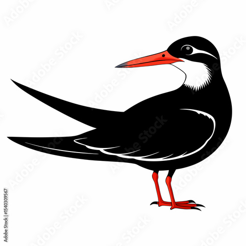 Black Skimmer black bird vector silhouette illustration on white background