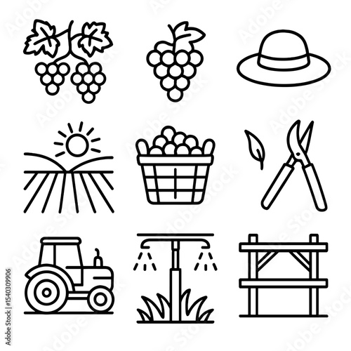 Vineyard Harvest Icons. Outline icon set of lush vineyard landscape during summer harvest: grapevines, clusters of grapes,