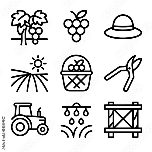 Vineyard Harvest Icons. Outline icon set of lush vineyard landscape during summer harvest: grapevines, clusters of grapes,