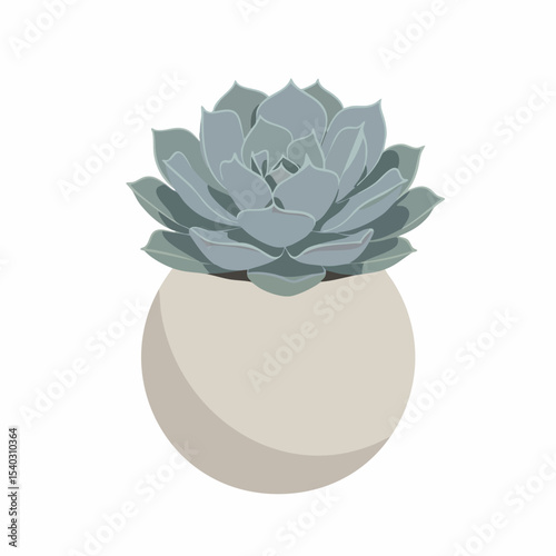 Stylized Echeveria Succulent in a Round Pot with Subtle Shading