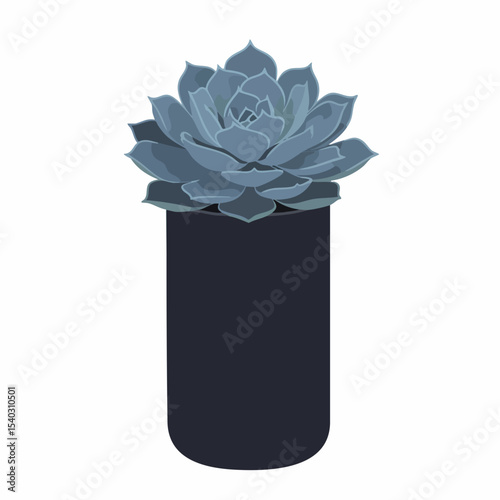 Stylized Echeveria Succulent in a Dark Blue Pot with Rounded Bottom