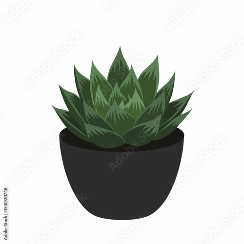 Vibrant Succulent in a Dark Pot, Detailed Illustration