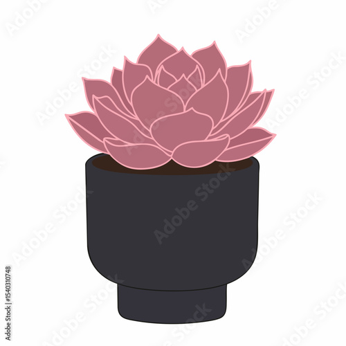 Stylized Echeveria Succulent with Pinkish-Purple Leaves in a Dark Pot