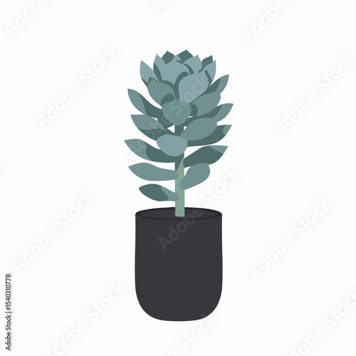 Stylized Echeveria Succulent in Dark Pot with Geometric Leaf Design