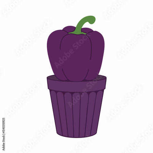 Single Dark Purple Bell Pepper in Matching Pot