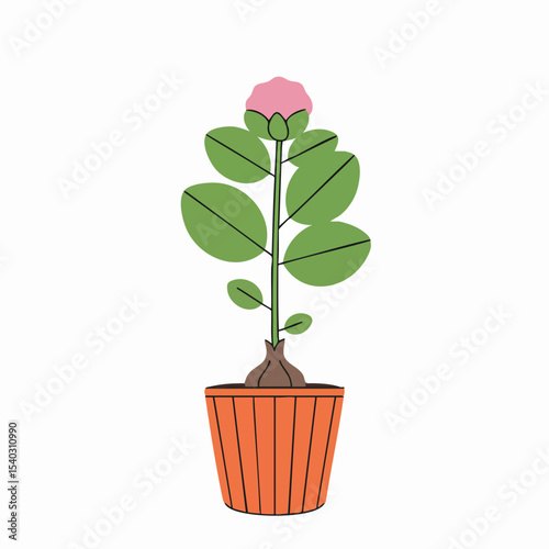 Vibrant Pink Flower in an Orange Potted Plant