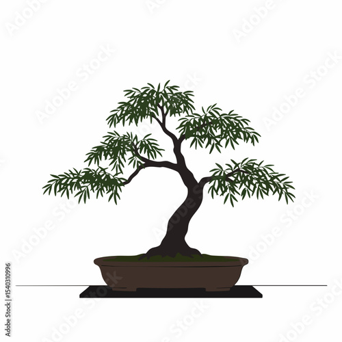 Elegant Bonsai Tree in a Brown Pot, Serene and Peaceful.