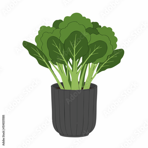 Stylized Bok Choy Plant in Ribbed Dark Gray Pot, Fresh Green Leaves