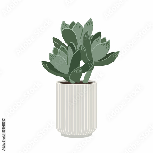 Stylized Echeveria Succulent in Striped Pot, Flat Vector Illustration