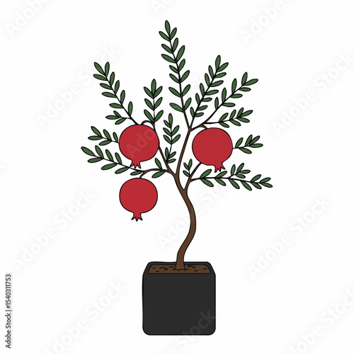Potted Pomegranate Tree with Three Fruits and Stylized Green Leaves