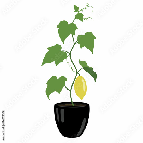 Vibrant Illustration of a Lemon Vine in a Pot