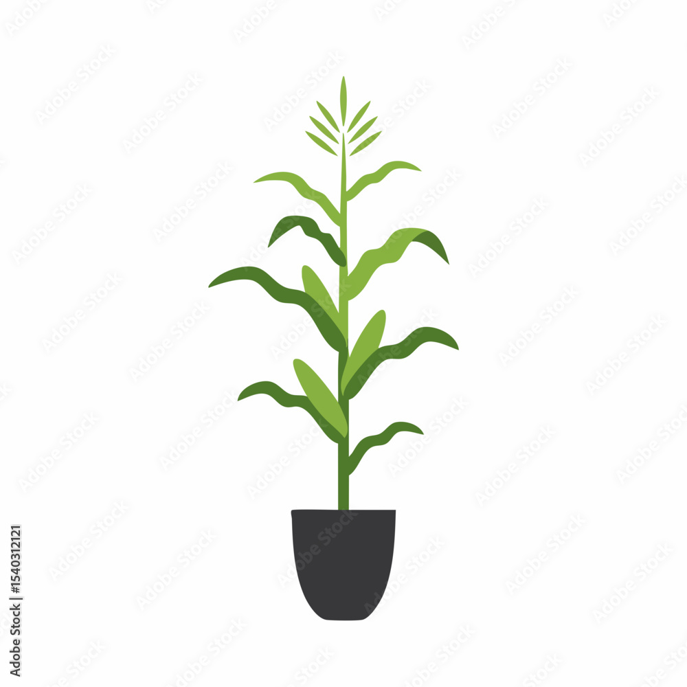 Fototapeta premium Stylized Corn Plant in Dark Pot with Green Leaves and Emerging Tassel