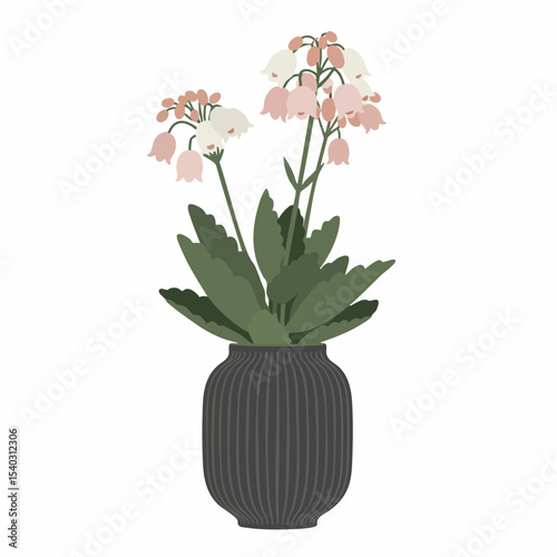 Elegant Pink and White Bell Flowers in a Dark Vase