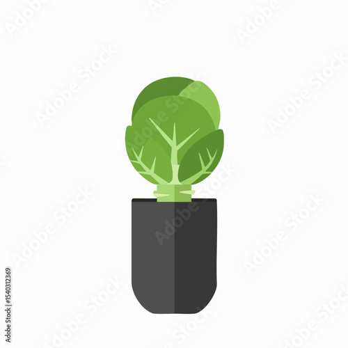 Stylized Green Cabbage Sprout in a Dark Gray Pot, Flat Vector Illustration