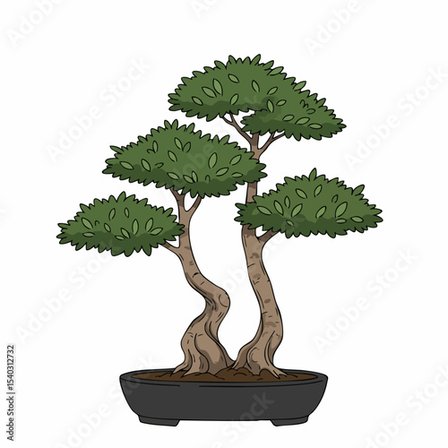 Cartoon Bonsai Tree with Curving Trunks and Dark Green Foliage in a Black Pot