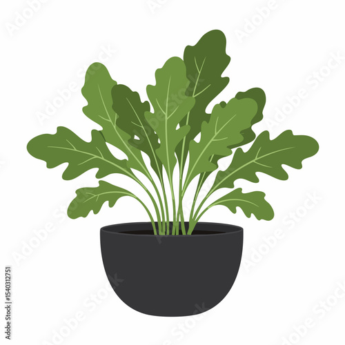 Vibrant Green Plant in a Dark Pot