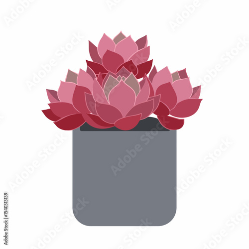 Stylized Echeveria Succulents in a Gray Pot, Featuring Shades of Pink and Burgundy