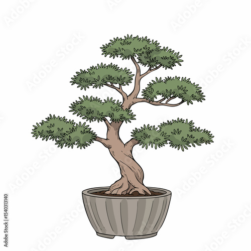 Detailed Illustration of a Bonsai Tree in a Pot