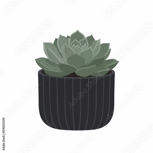Succulent in a Dark Ribbed Pot: A Botanical Illustration