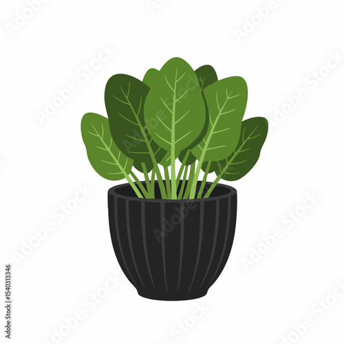 Stylized Potted Plant with Broad Green Leaves in a Dark Ribbed Pot