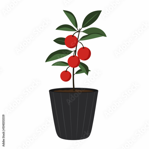 Vibrant Red Fruit Tree in Dark Pot, Simple Illustration