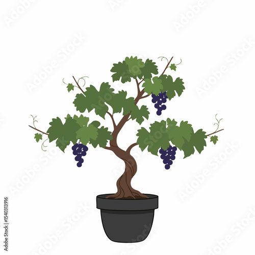 Cartoon Grape Vine in a Black Pot with Lush Green Leaves
