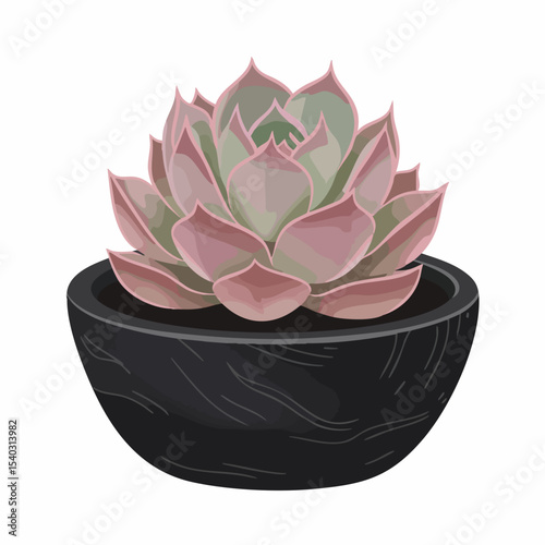 Pink Echeveria Succulent in a Dark Wooden Bowl