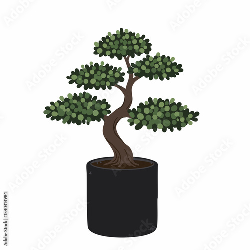 Stylized Bonsai Tree with Curving Trunk and Dark Green Foliage in Black Pot