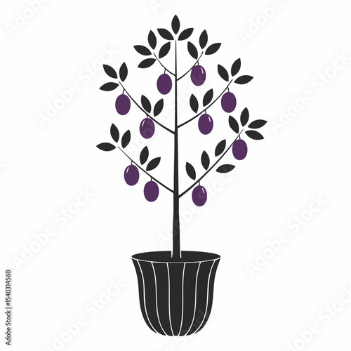Potted Plum Tree with Dark Purple Fruit and Simple Leaves