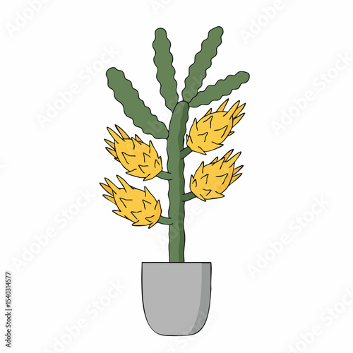 Vibrant Yellow Dragon Fruit Cactus in a Potted Plant
