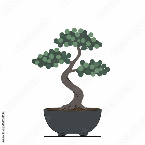 Artistic Bonsai Tree in a Dark Gray Pot, Serene and Simple