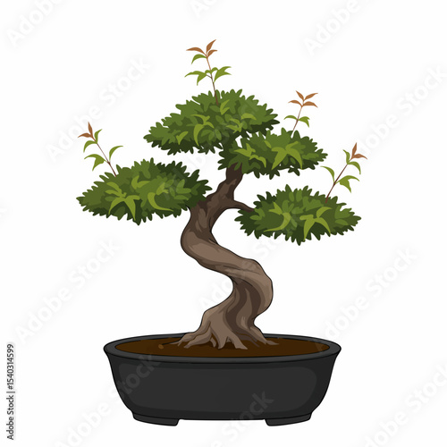 Serene Bonsai Tree with Twisted Trunk and Lush Foliage