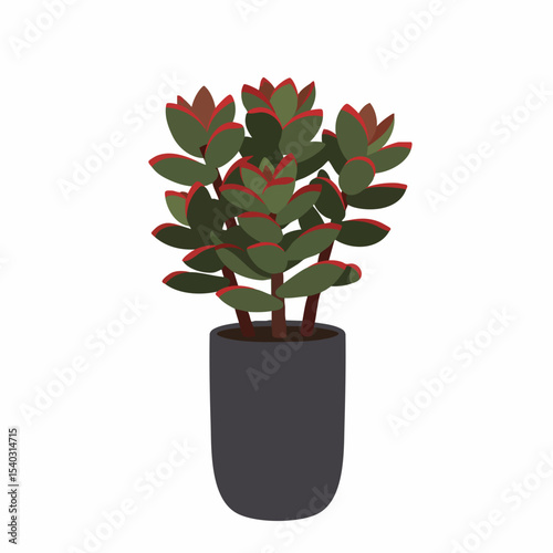 Stylized Crassula Ovata Succulent with Red Edges in a Dark Gray Pot