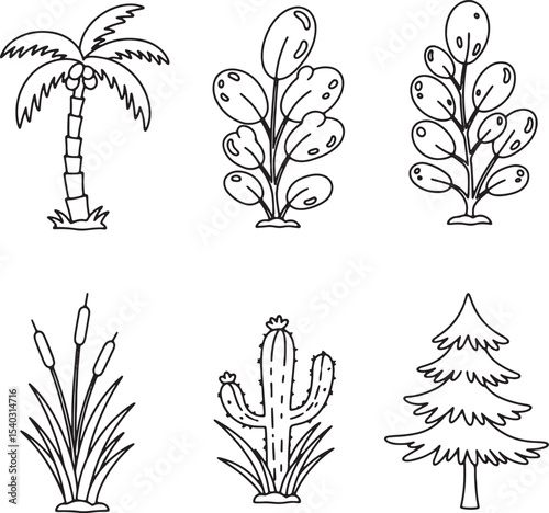Collection of Hand-Drawn Tropical and Temperate Trees, Plants, and Flora Illustrations