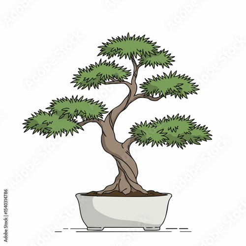 Intricate Bonsai Tree in Elegant White Pot