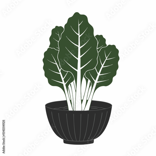 Dark Green Chard in a Ribbed Black Bowl