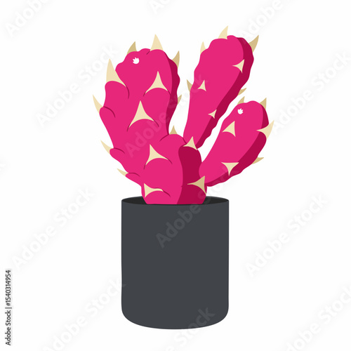 Stylized Pink Dragon Fruit Cactus in a Dark Gray Pot, Vector Illustration