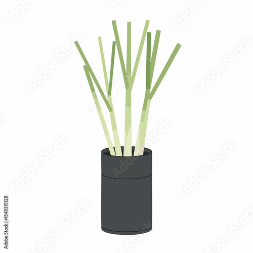 Lemongrass Stalks in a Dark Gray Cylinder Pot