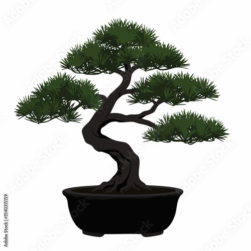 Serene Bonsai Pine: Dark Trunk, Lush Green Foliage