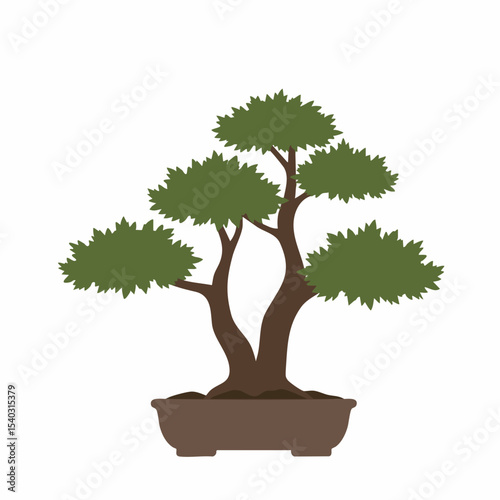 Simple and Elegant Bonsai Tree in a Pot