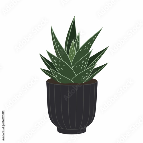 Stylized Aloe Plant with White Spots in a Dark Ribbed Pot Illustration