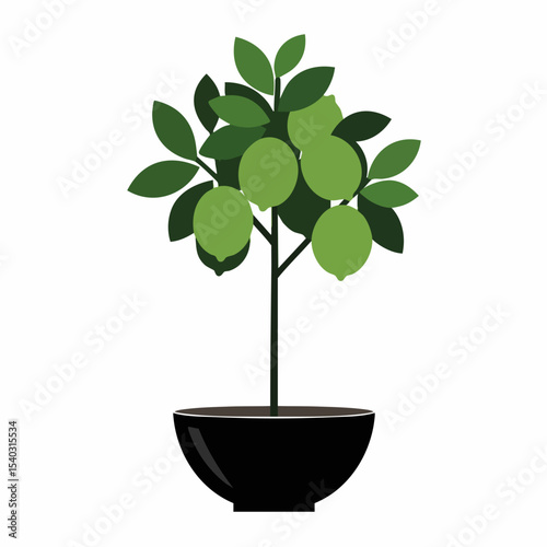 Stylized Lime Tree with Green Fruits in a Sleek Black Pot Illustration