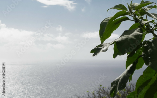 Atlantic sea horizon from Sao Miguel exotic island of Azores